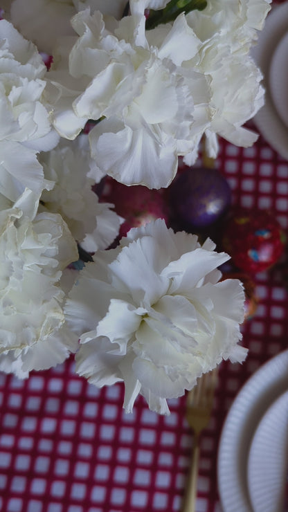 Frilled Red Gingham Table Cloth and Napkin Set